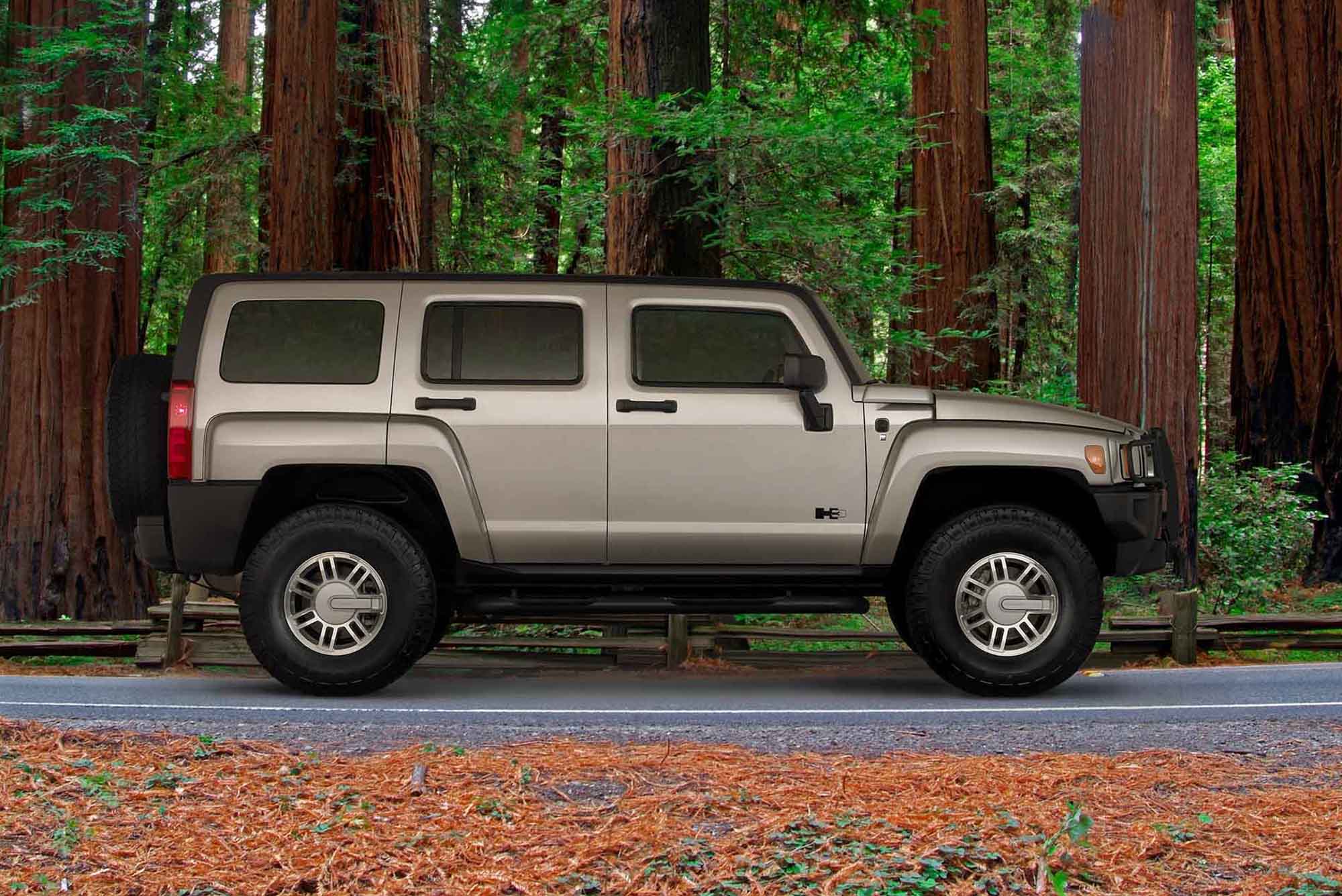 Ninteenth slide image